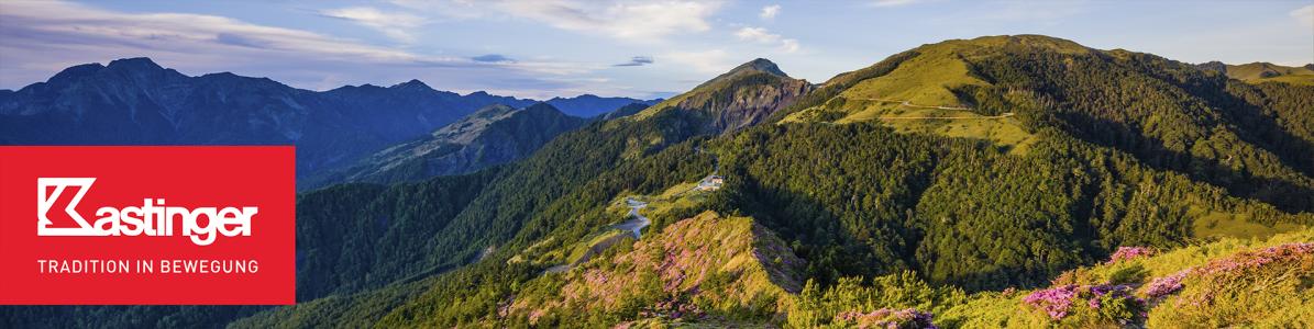Kastinger